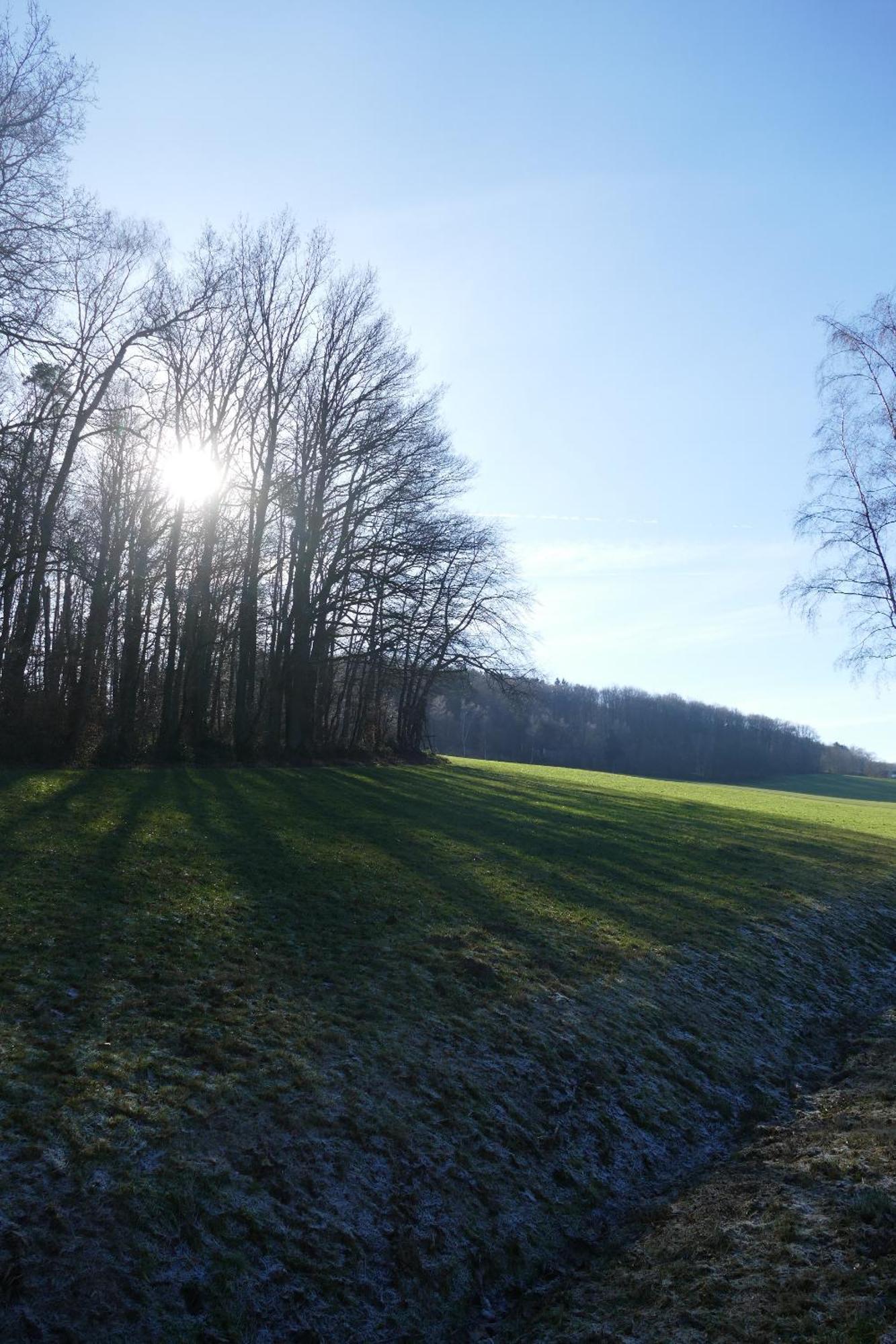 Ferienwohnung Hueppelroettchen Eitorf Buitenkant foto